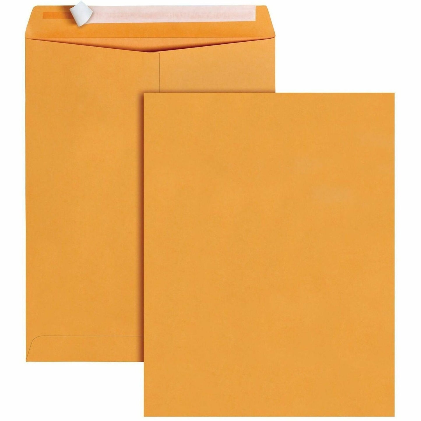 Business Source Kraft Peel-and-Stick Catalog Envelopes, Catalog, 10" Width x 13" Length, Peel & Stick, Brown, Kraft Paper, 100/Box (BSN40099)