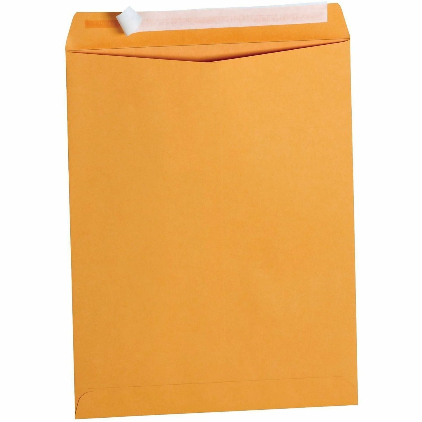 Business Source Kraft Peel-and-Stick Catalog Envelopes, Catalog, 10" Width x 13" Length, Peel & Stick, Brown, Kraft Paper, 100/Box (BSN40099)