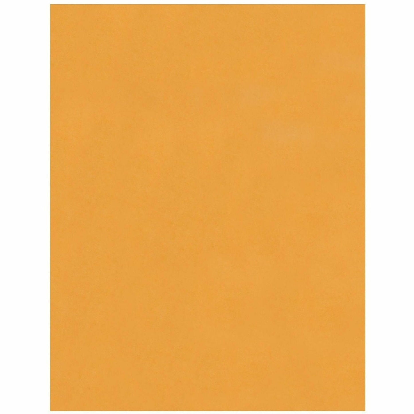 Business Source Kraft Peel-and-Stick Catalog Envelopes, Catalog, 10" Width x 13" Length, Peel & Stick, Brown, Kraft Paper, 100/Box (BSN40099)
