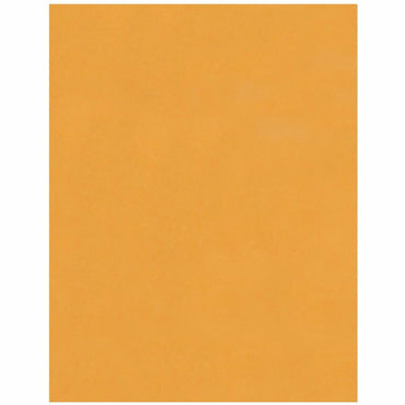 Business Source Kraft Peel-and-Stick Catalog Envelopes, Catalog, 10" Width x 13" Length, Peel & Stick, Brown, Kraft Paper, 100/Box (BSN40099)