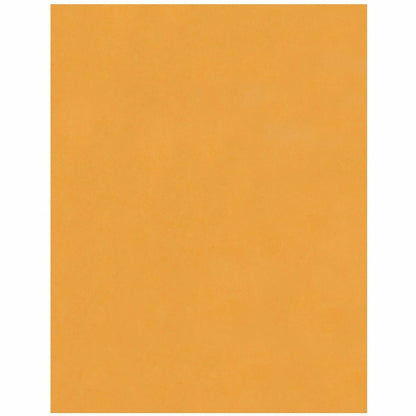 Business Source Kraft Peel-and-Stick Catalog Envelopes, Catalog, 10" Width x 13" Length, Peel & Stick, Brown, Kraft Paper, 100/Box (BSN40099)