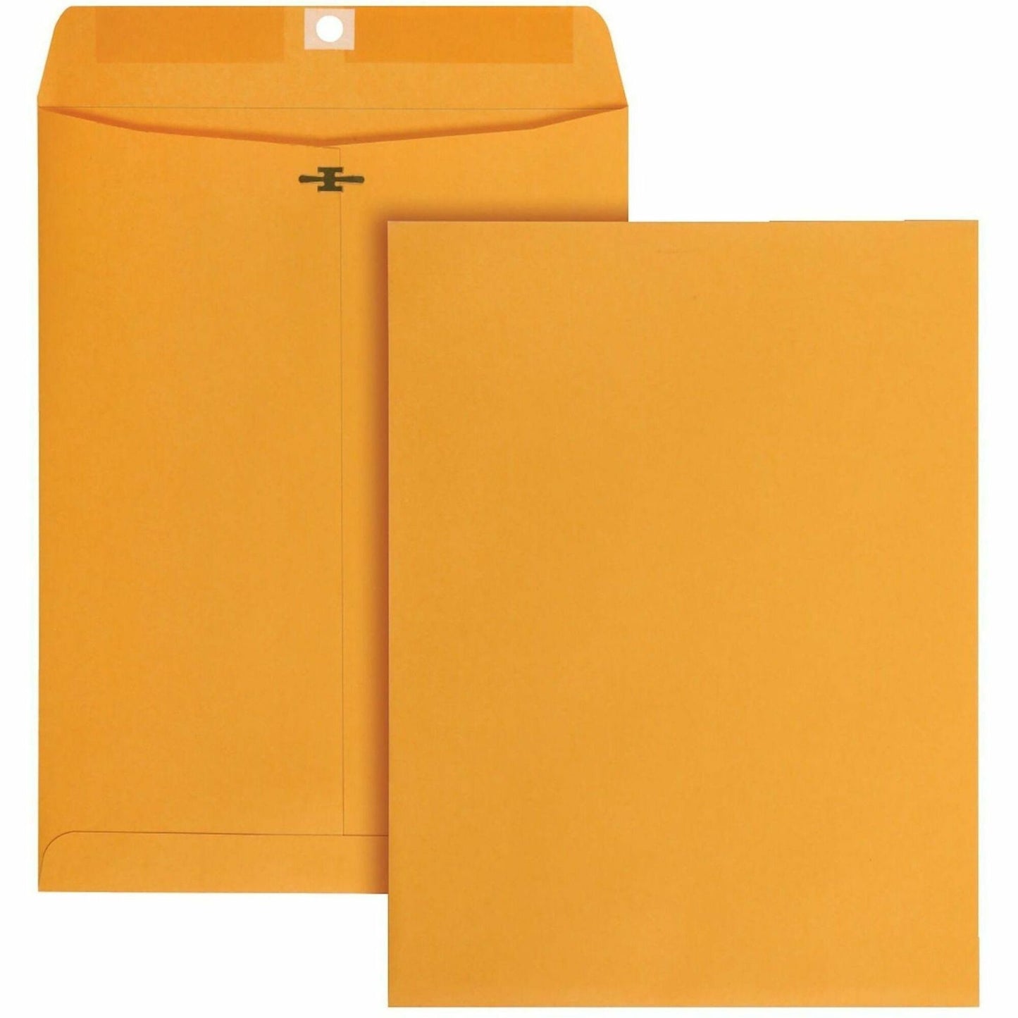 Business Source Self-Seal Catalog Envelopes, Catalog, 9" Width x 12" Lengtht, 250/Carton (BSN35269)