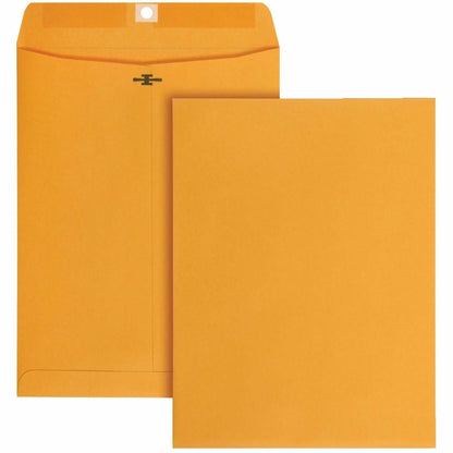 Business Source Self-Seal Catalog Envelopes, Catalog, 9" Width x 12" Lengtht, 250/Carton (BSN35269)