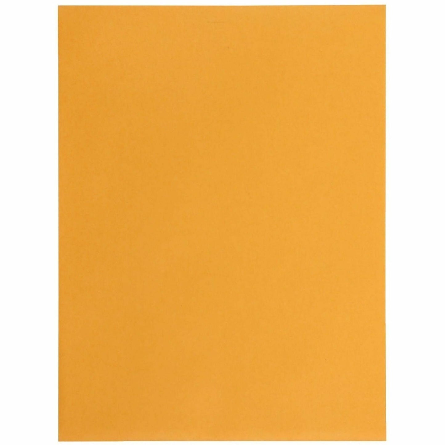Business Source Self-Seal Catalog Envelopes, Catalog, 9" Width x 12" Lengtht, 250/Carton (BSN35269)