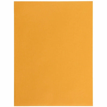 Business Source Self-Seal Catalog Envelopes, Catalog, 9" Width x 12" Lengtht, 250/Carton (BSN35269)
