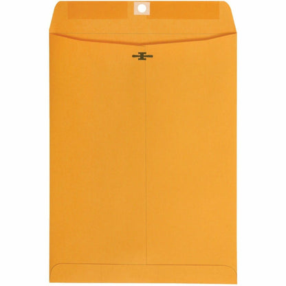 Business Source Self-Seal Catalog Envelopes, Catalog, 9" Width x 12" Lengtht, 250/Carton (BSN35269)