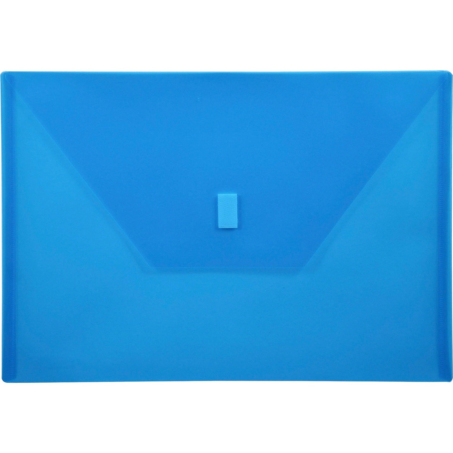 lion-poly-envelope-num-lio22080bl_1