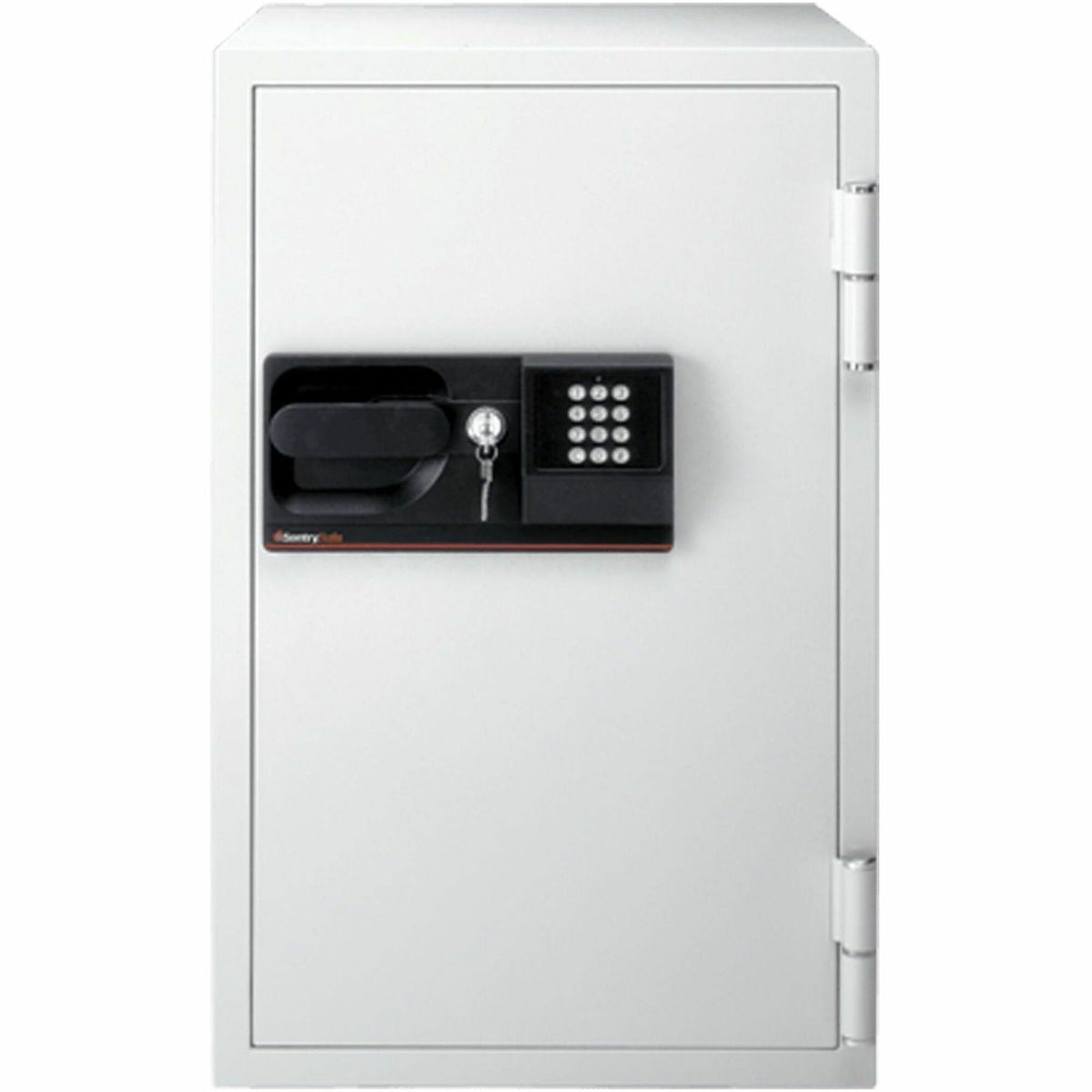 Sentry Safe 3 Cubic Foot Fire Safe, Light Gray (SENS6770)