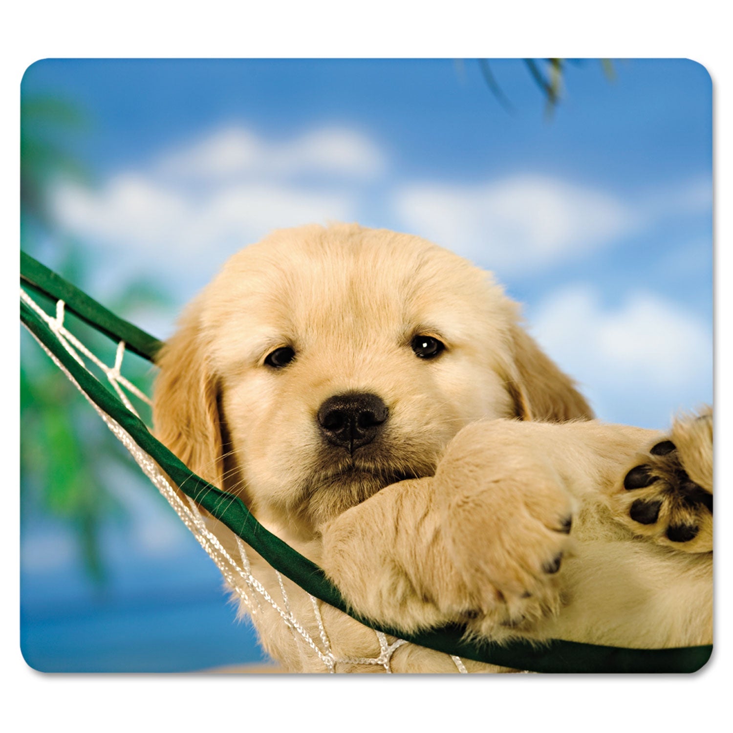 fellowes-recycled-mouse-pad-num-fel5913901_1