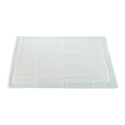 McKesson Disposable Underpad 23 X 36 Inch Fluff / Polymer Moderate Absorbency (807974_CS)