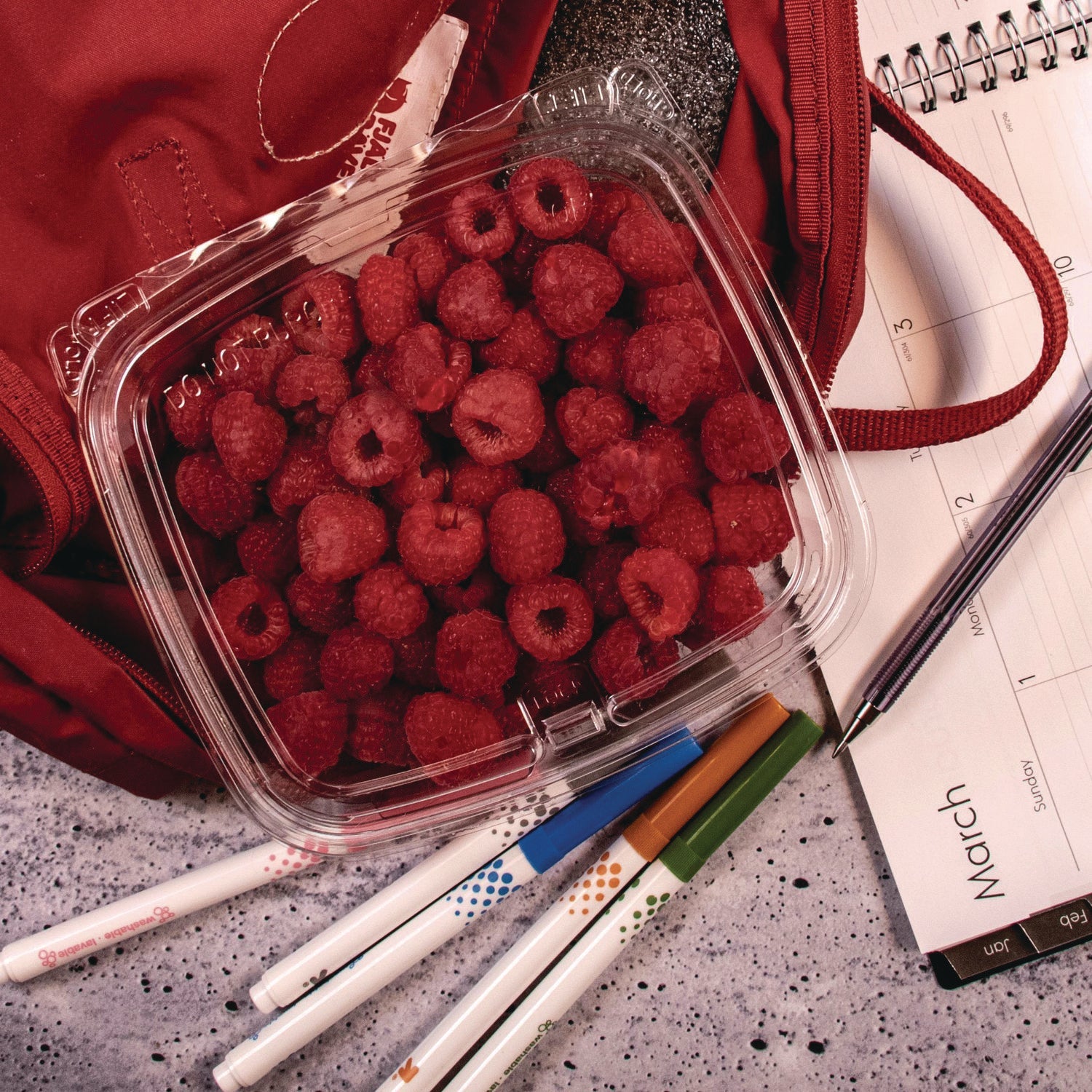 dart-clearpac-container-num-122062_5