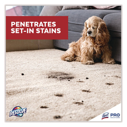 resolve-professional-ready-to-use-spot-and-stain-carpet-cleaner-num-rac97402_4