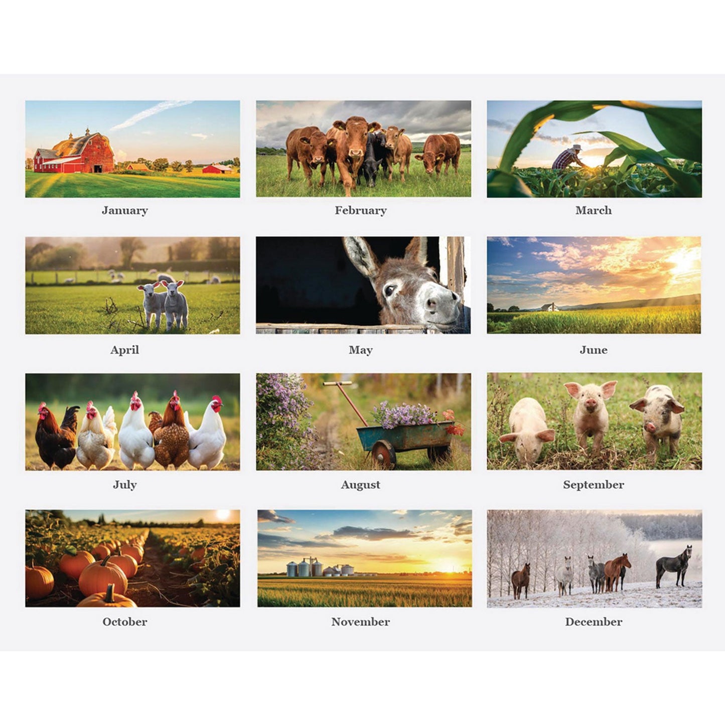 house-of-doolittle-100-recycled-farm-life-wall-calendar-11-x-14-white-multicolor-sheets-12-month-jan-dec-2025-hod316_2