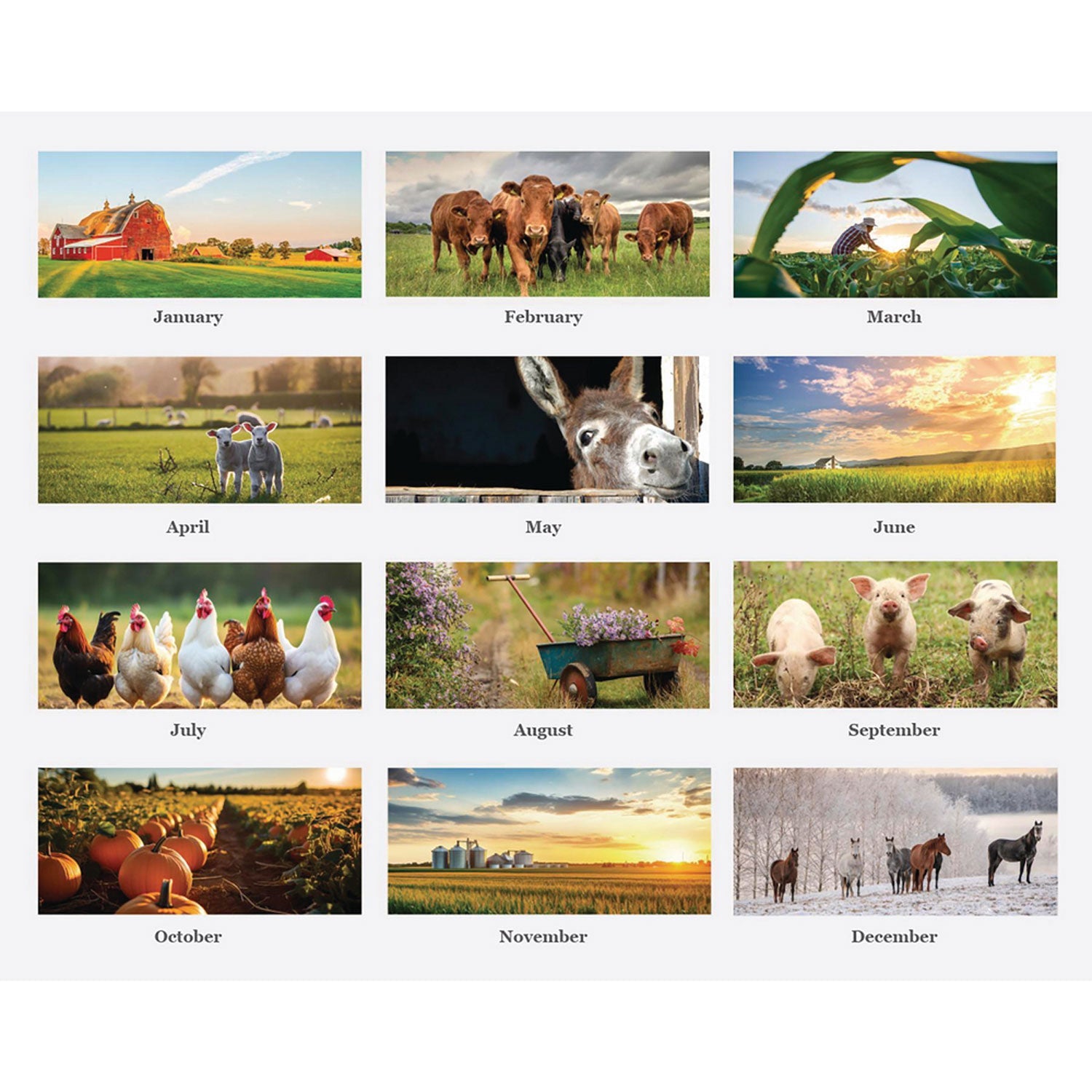 house-of-doolittle-100-recycled-farm-life-wall-calendar-11-x-14-white-multicolor-sheets-12-month-jan-dec-2025-hod316_2