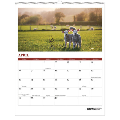 house-of-doolittle-100-recycled-farm-life-wall-calendar-11-x-14-white-multicolor-sheets-12-month-jan-dec-2025-hod316_3