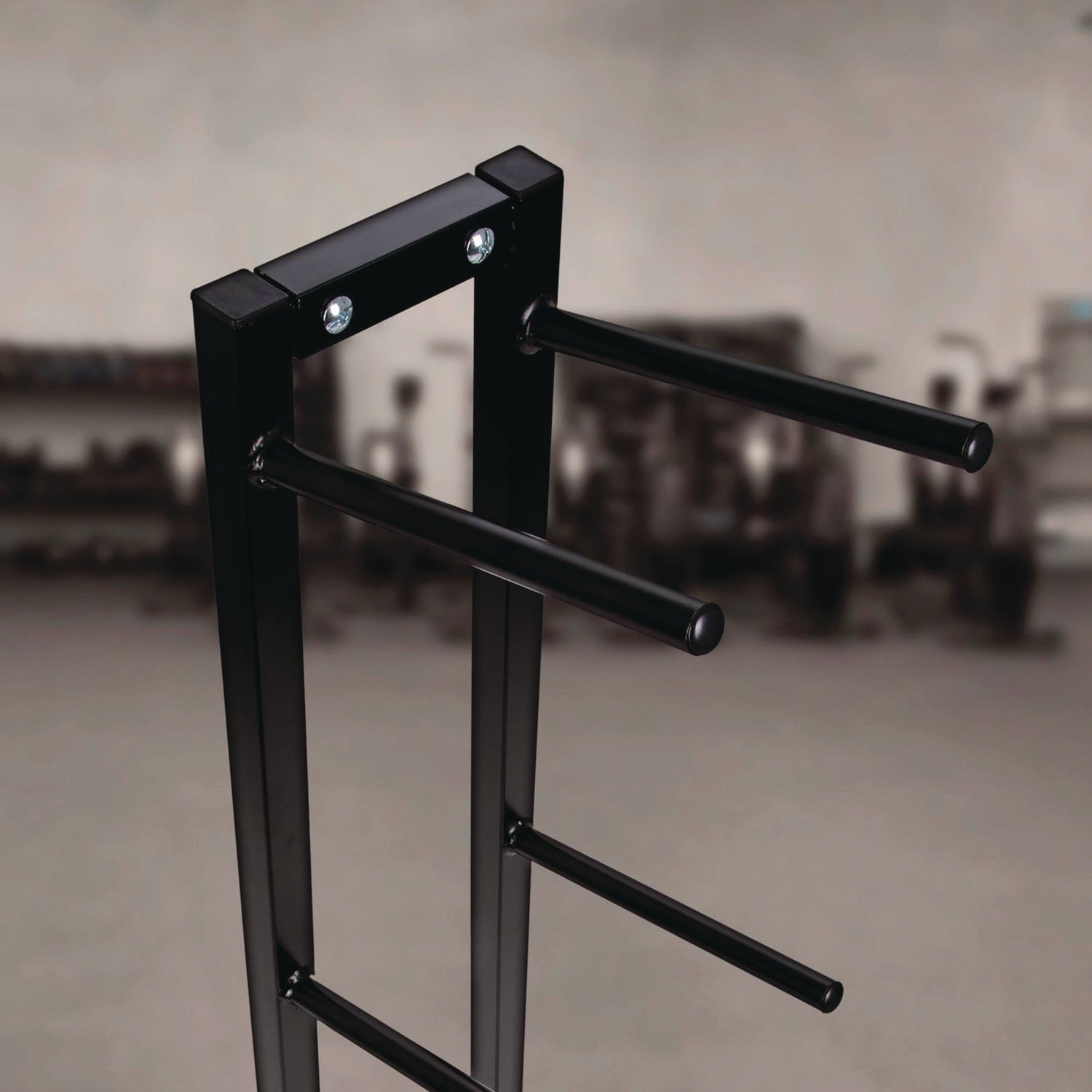 champion-sports-single-medicine-ball-tree-11-x-15-x-52-black-csimbr1_5