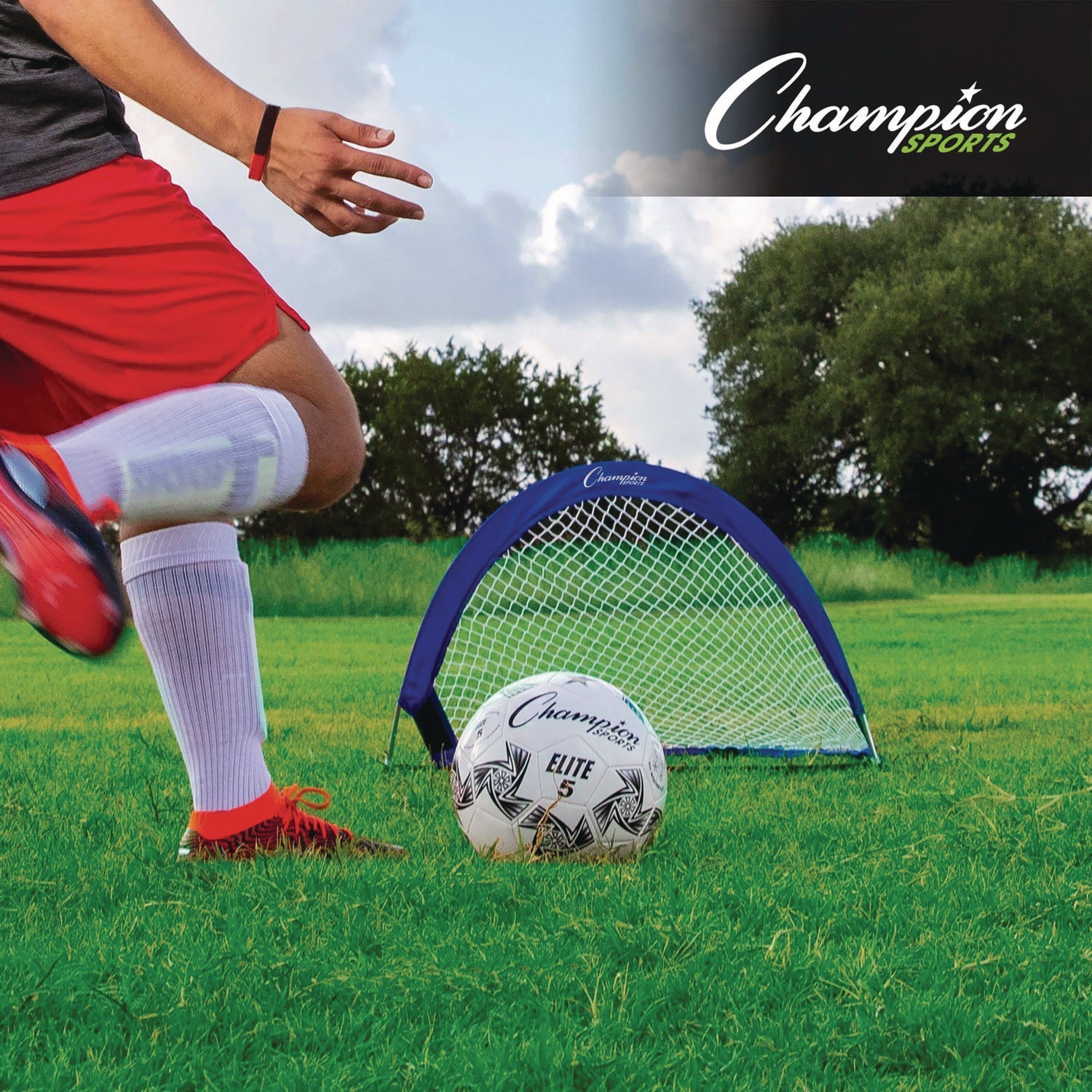 champion-sports-pop-up-half-moon-goal-30-x-18-pair-csisg3018_2