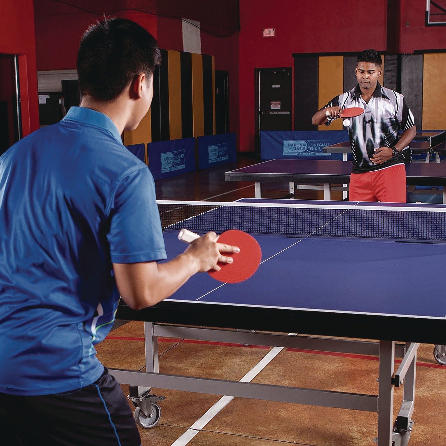 champion-sports-table-tennis-balls-official-size-white-144-carton-csi1star144_7