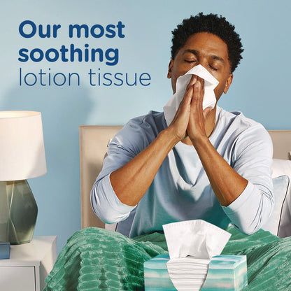 puffs-plus-lotion-facial-tissue-2-ply-white-124-sheets-box-24-boxes-carton-pgc39346_5
