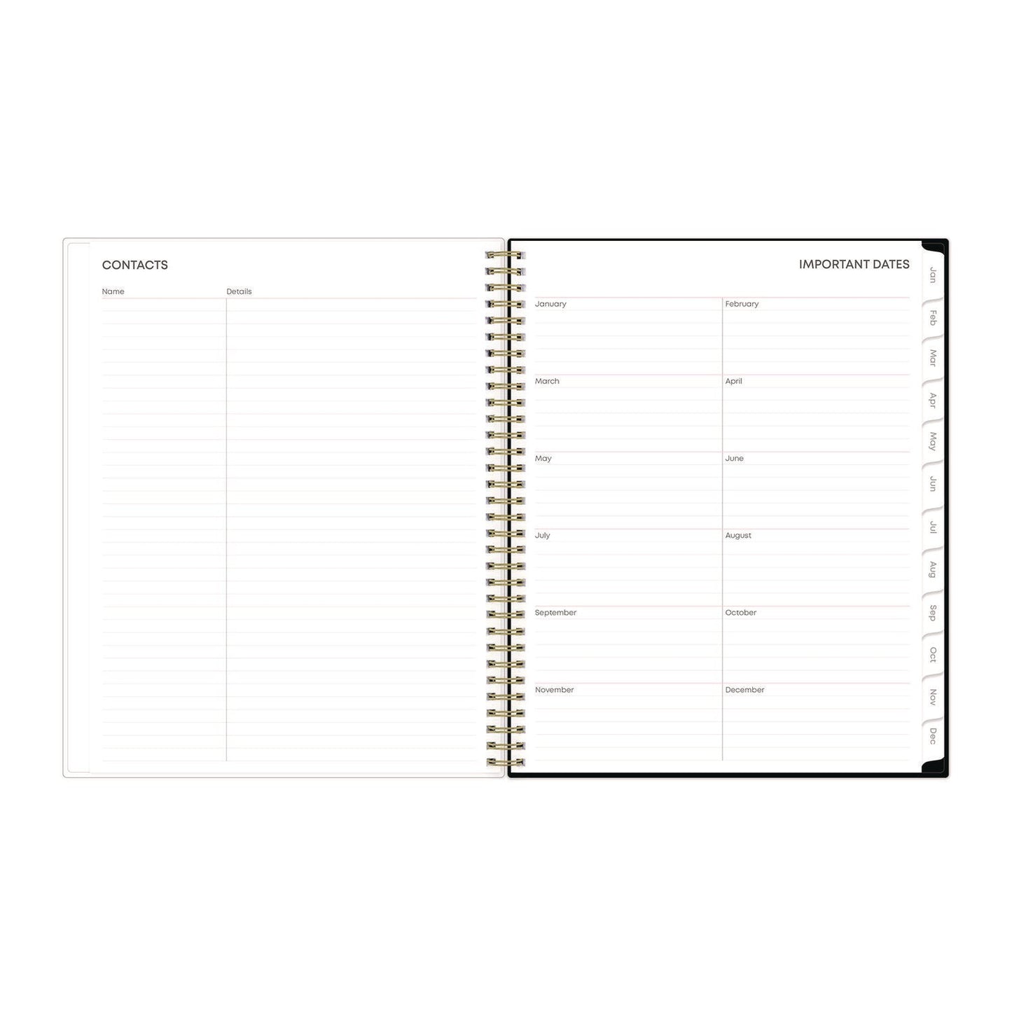 blue-sky-nevaeh-weekly-monthly-planner-floral-artwork-11-x-8-5-black-multicolor-cover-12-month-jan-to-dec-2025-bls143945_6