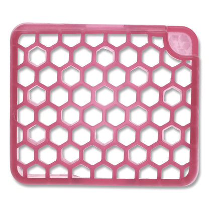fresh-products-myfresh-refill-spiced-apple-6-box-frsmyf36sabx_1