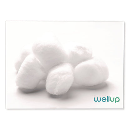 wellup-regular-cotton-ball-300-pack-weuw11300300_3