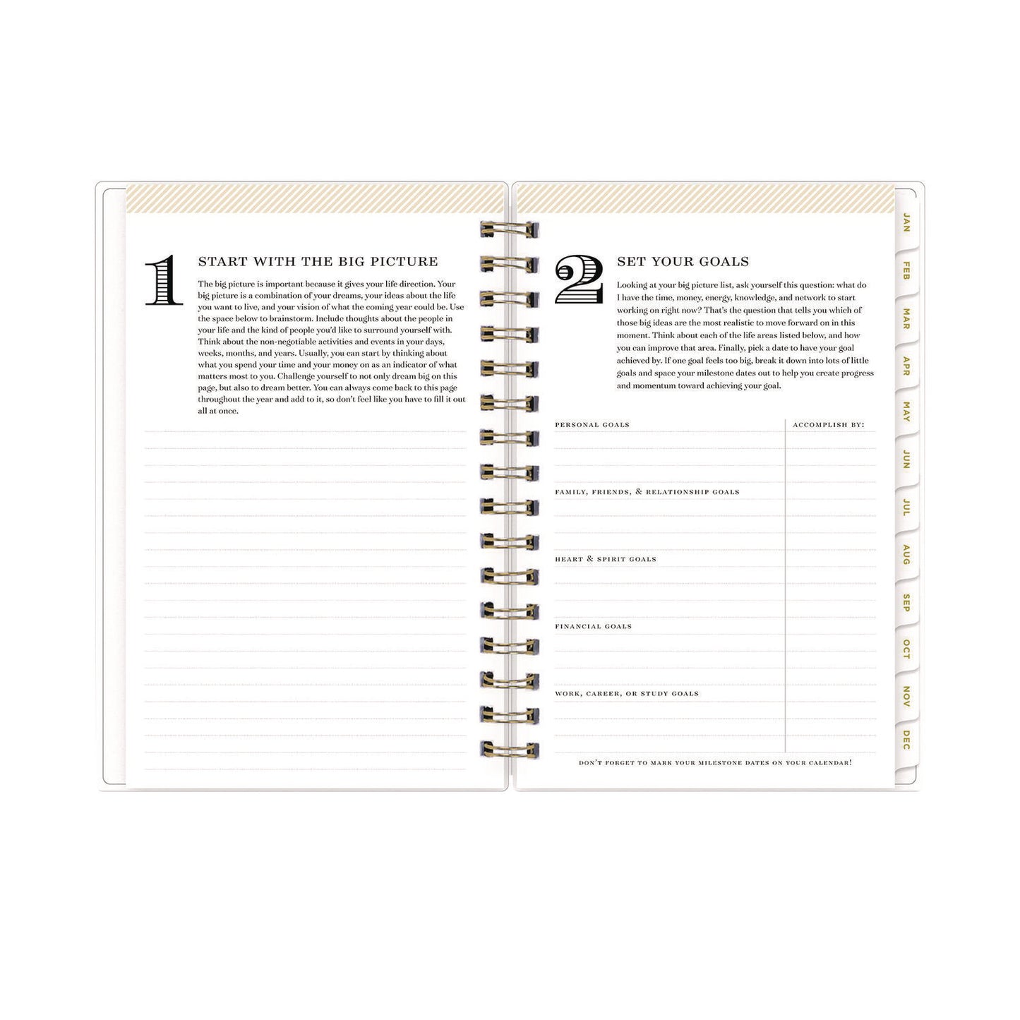 Blue Sky® Day Designer Navy Stripe Daily/Monthly Planner, Horizontal Stripe Artwork, 8 x 5, Navy/White Cover, 12-Month (Jan-Dec): 2026 (BLS103623)