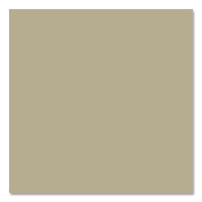 rust-oleum-camouflage-spray-paint-flat-sand-12-oz-aerosol-can-6-carton-rst339004ct_5