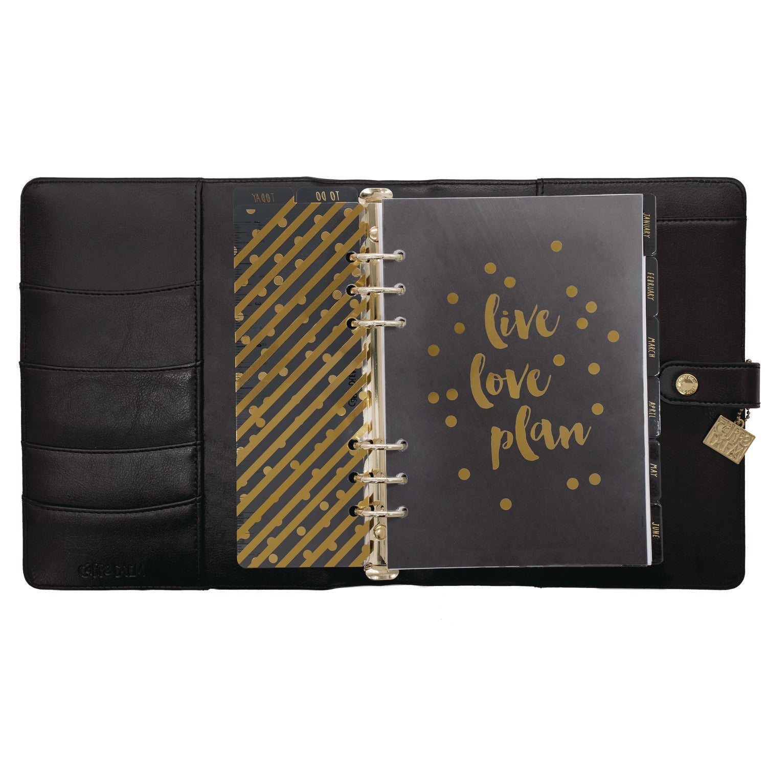 pukka-pad-a5-planner-10-24-x-9-25-black-cover-12-month-puk9109cd_4