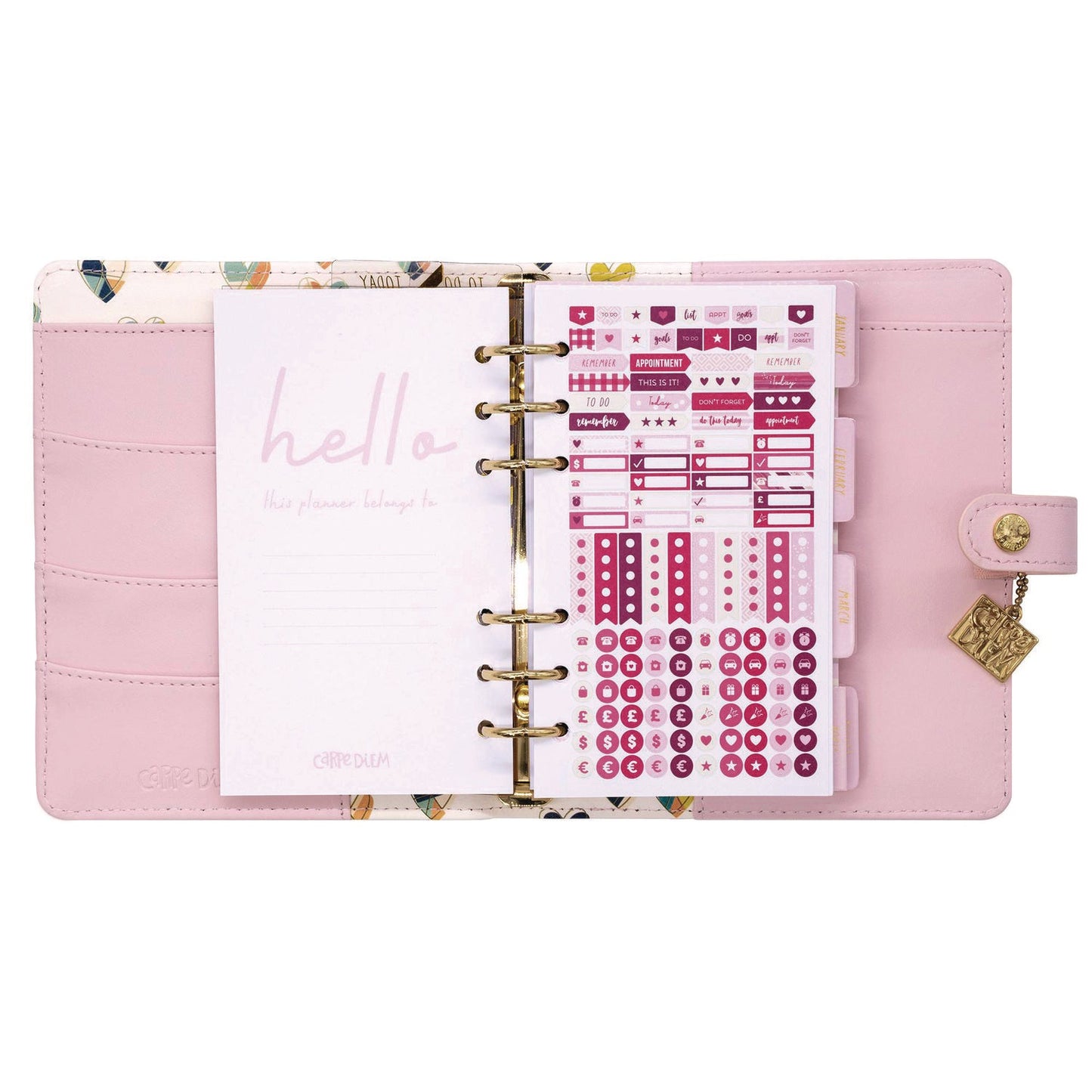 pukka-pad-personal-planner-7-48-x-6-42-pink-cover-12-month-undated-puk9153cd_3