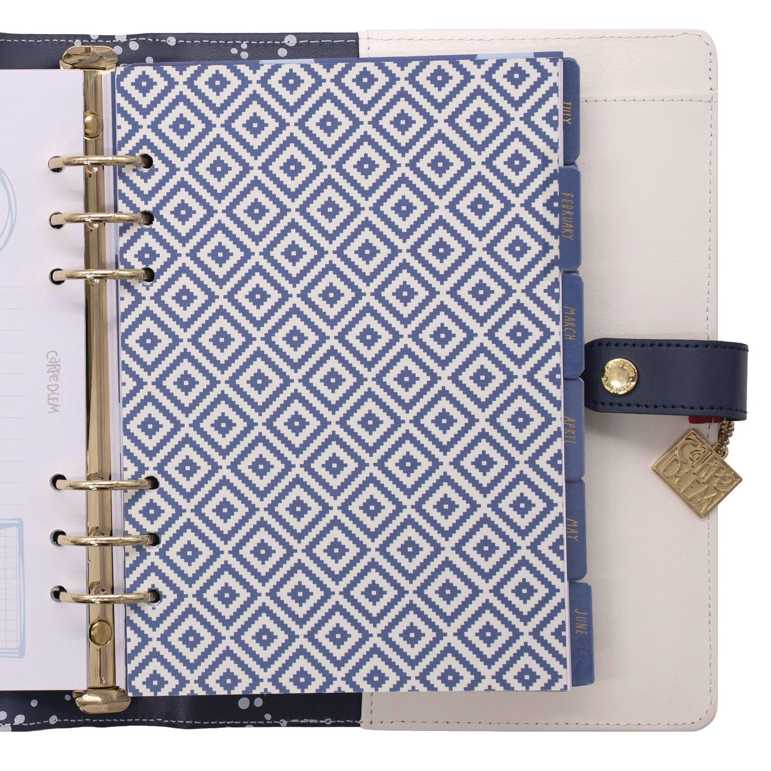 pukka-pad-a5-planner-color-wash-10-24-x-9-25-blue-green-red-yellow-cover-12-month-puk9179cd_3