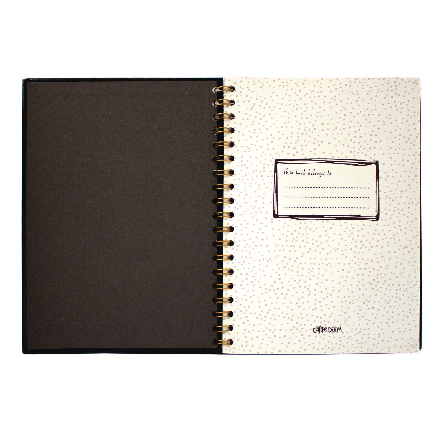 pukka-pad-b5-size-notebook-1-subject-medium-college-rule-black-cover-80-9-8-x-6-9-sheets-3-pack-puk9375cd_3
