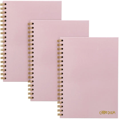 pukka-pad-b5-size-notebook-1-subject-medium-college-rule-pink-cover-80-9-8-x-6-9-sheets-3-pack-puk9376cd_1