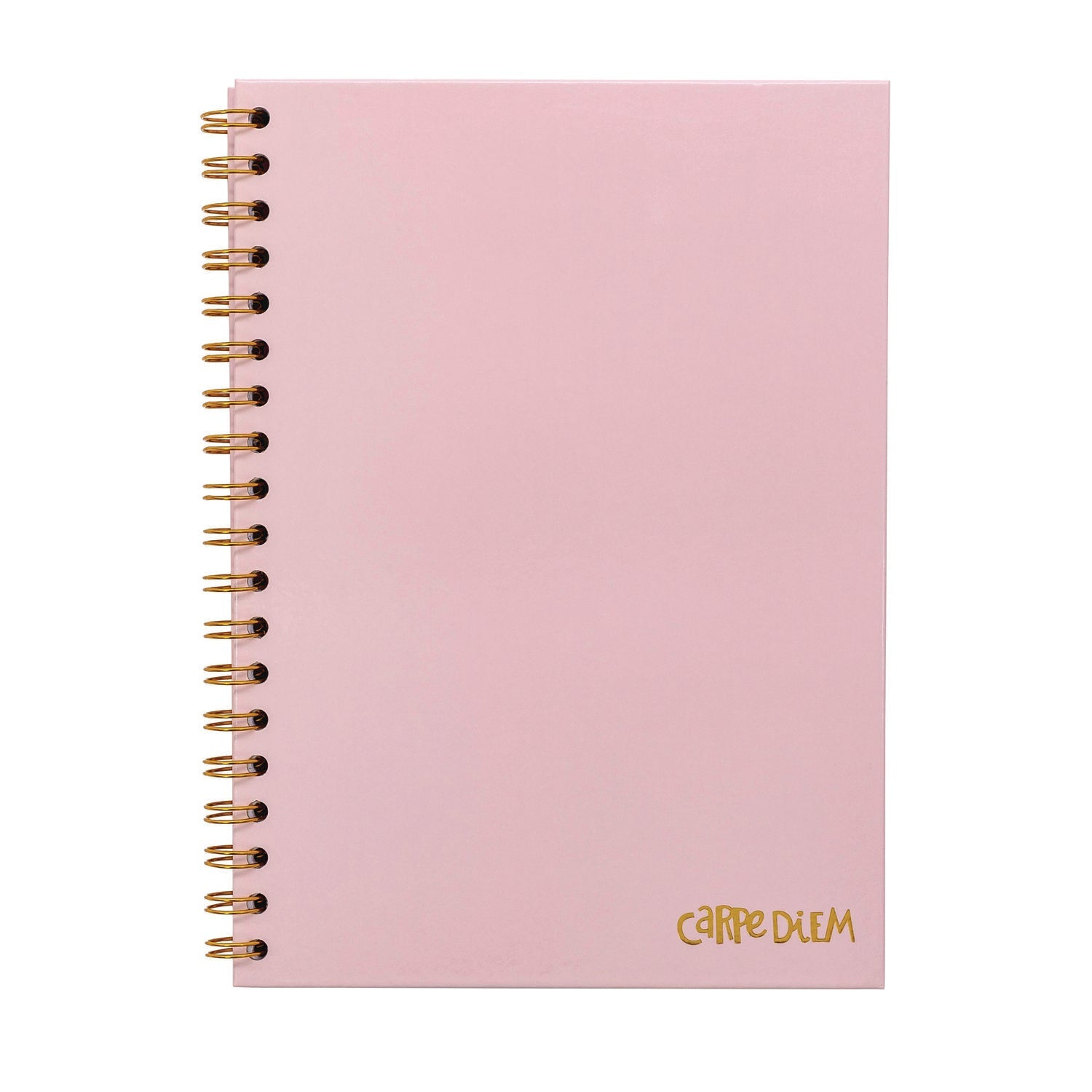 pukka-pad-b5-size-notebook-1-subject-medium-college-rule-pink-cover-80-9-8-x-6-9-sheets-3-pack-puk9376cd_2