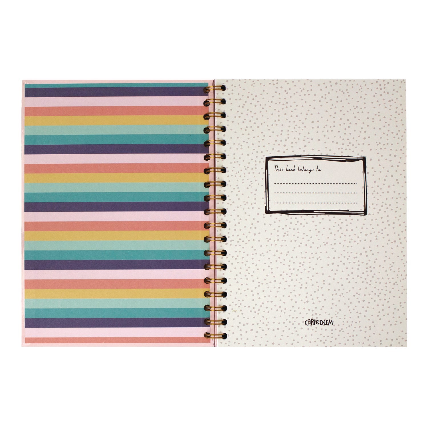 pukka-pad-b5-size-notebook-1-subject-medium-college-rule-pink-cover-80-9-8-x-6-9-sheets-3-pack-puk9376cd_3