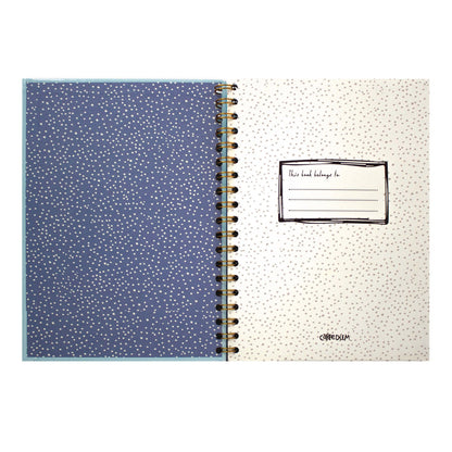 pukka-pad-b5-size-notebook-1-subject-medium-college-rule-blue-cover-80-9-8-x-6-9-sheets-3-pack-puk9378cd_3