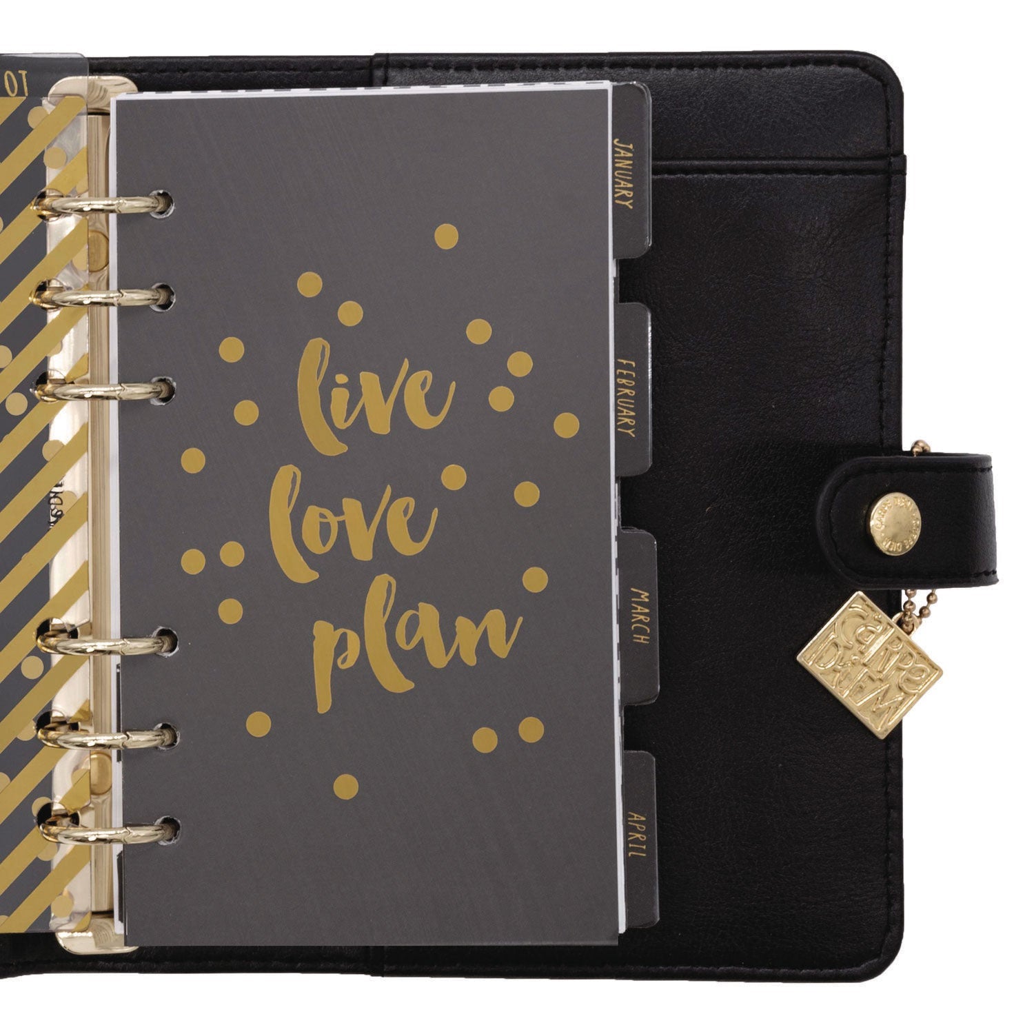 pukka-pad-personal-planner-7-48-x-6-42-black-cover-12-month-undated-puk9110cd_3