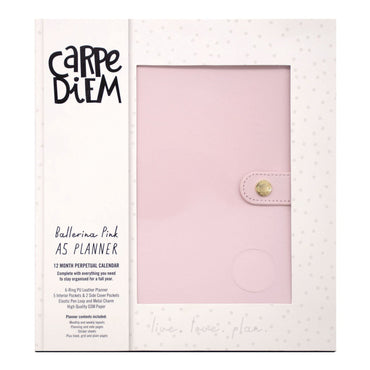 pukka-pad-a5-planner-10-24-x-9-25-pink-cover-12-month-puk9152cd_2