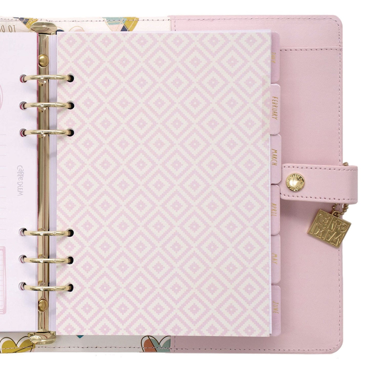 pukka-pad-a5-planner-10-24-x-9-25-pink-cover-12-month-puk9152cd_3