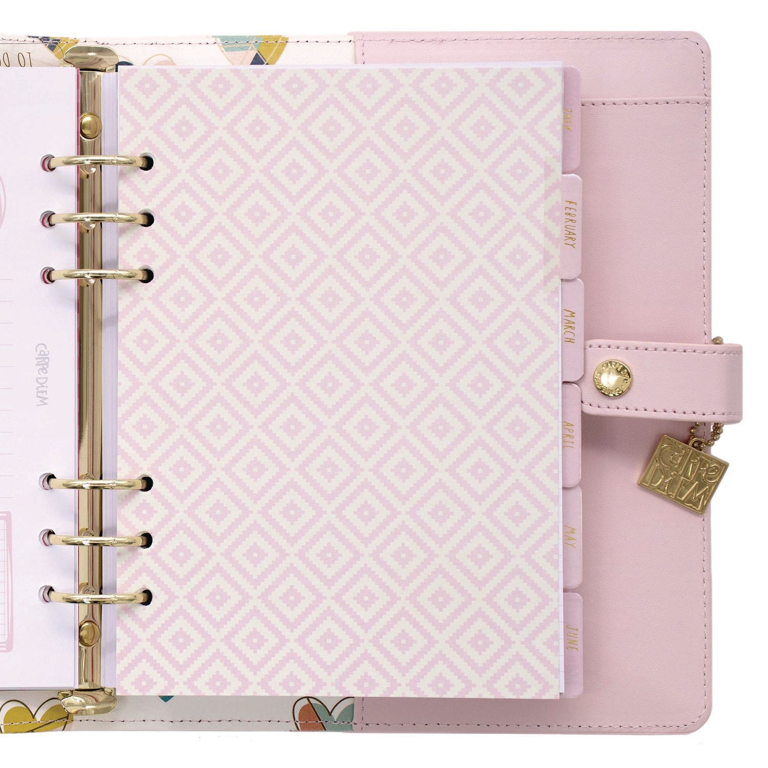 pukka-pad-a5-planner-10-24-x-9-25-pink-cover-12-month-puk9152cd_3