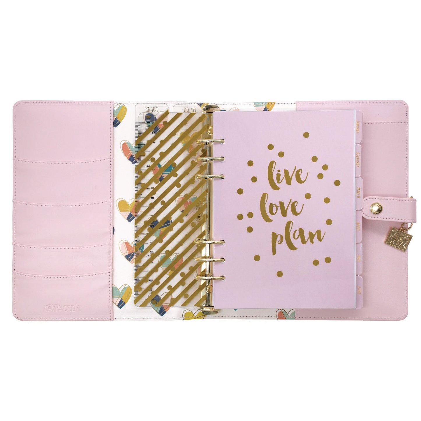 pukka-pad-a5-planner-10-24-x-9-25-pink-cover-12-month-puk9152cd_4
