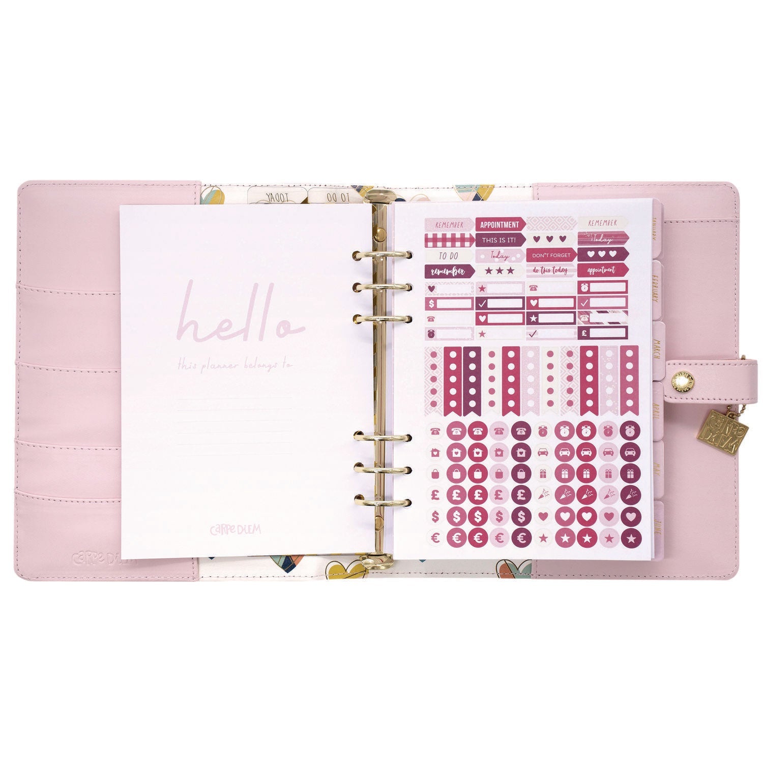 pukka-pad-a5-planner-10-24-x-9-25-pink-cover-12-month-puk9152cd_5