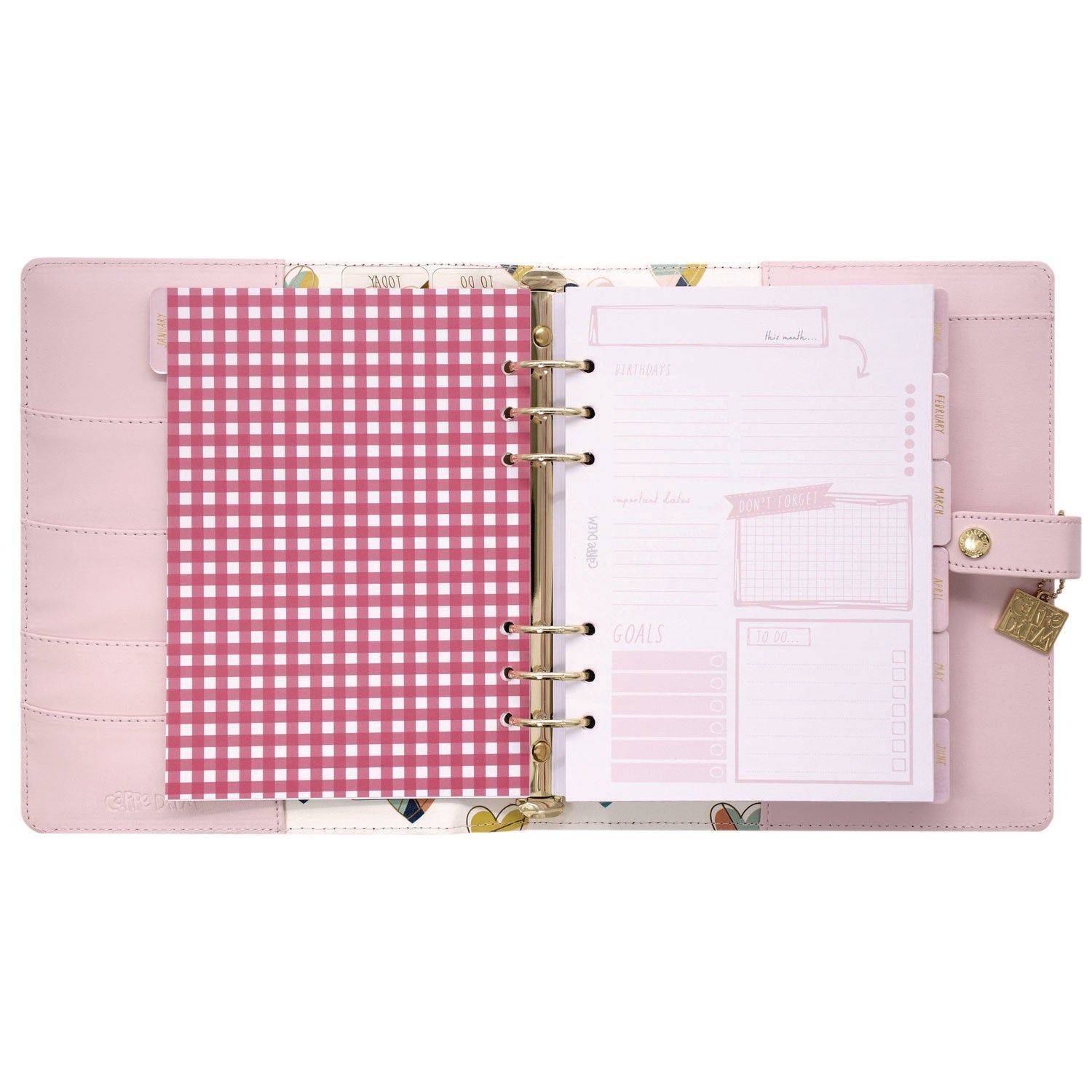 pukka-pad-a5-planner-10-24-x-9-25-pink-cover-12-month-puk9152cd_7