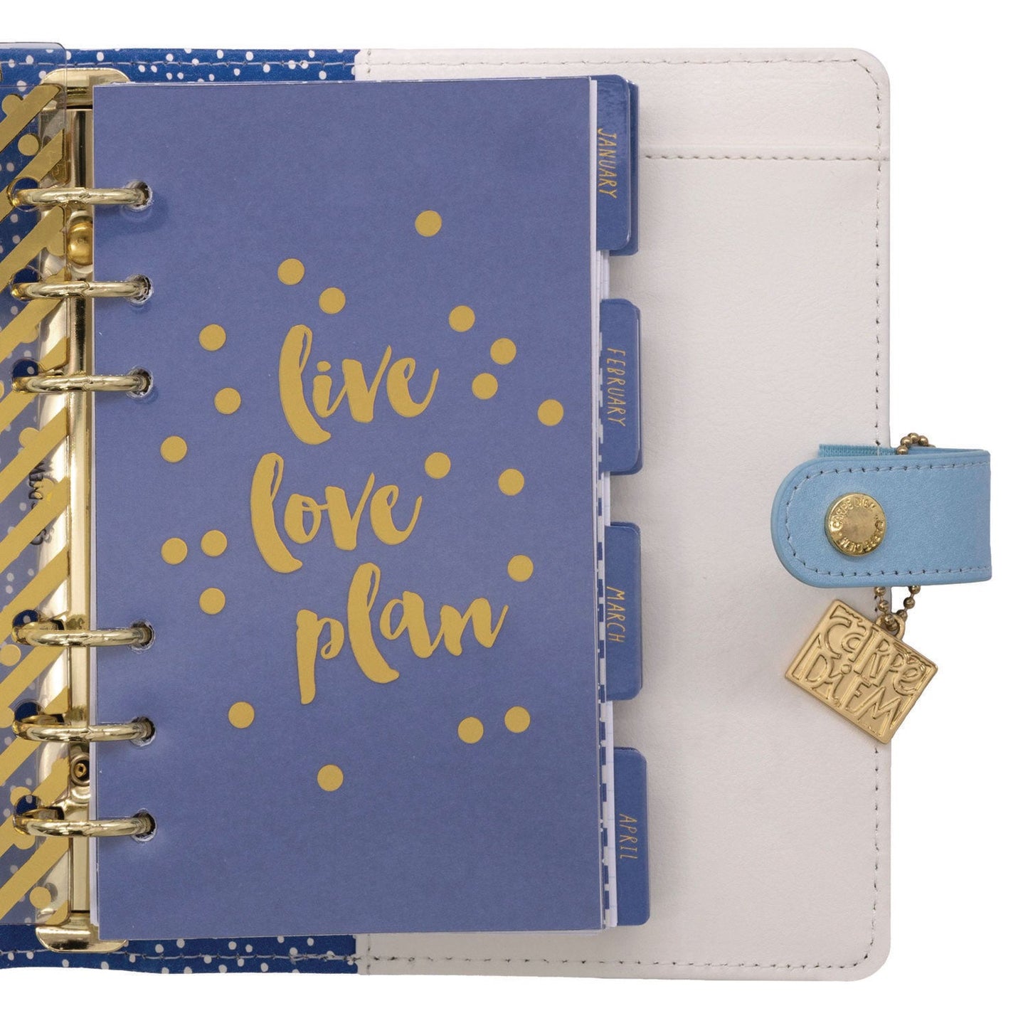 pukka-pad-personal-planner-feathers-7-48-x-6-42-blue-cream-pink-cover-12-month-undated-puk9210cd_3