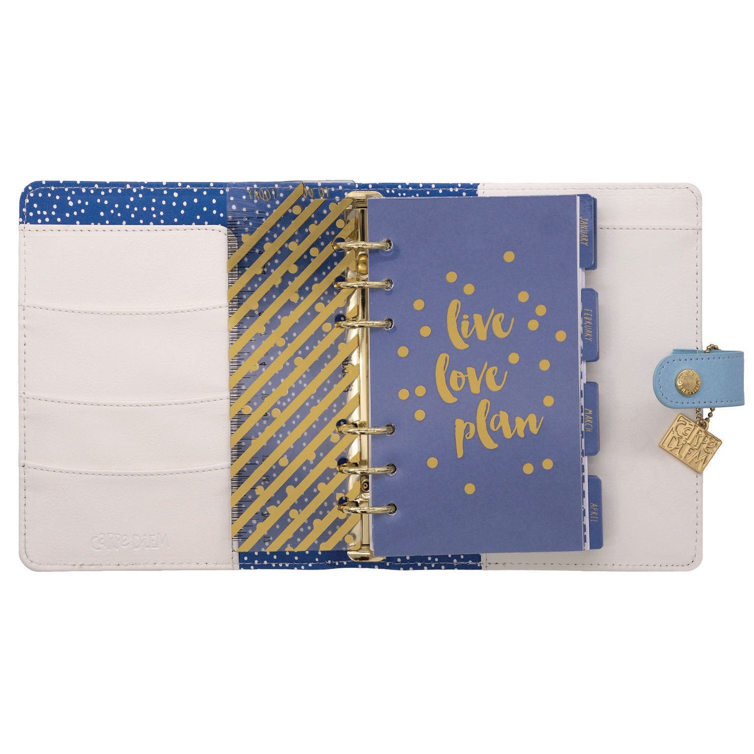pukka-pad-personal-planner-feathers-7-48-x-6-42-blue-cream-pink-cover-12-month-undated-puk9210cd_4