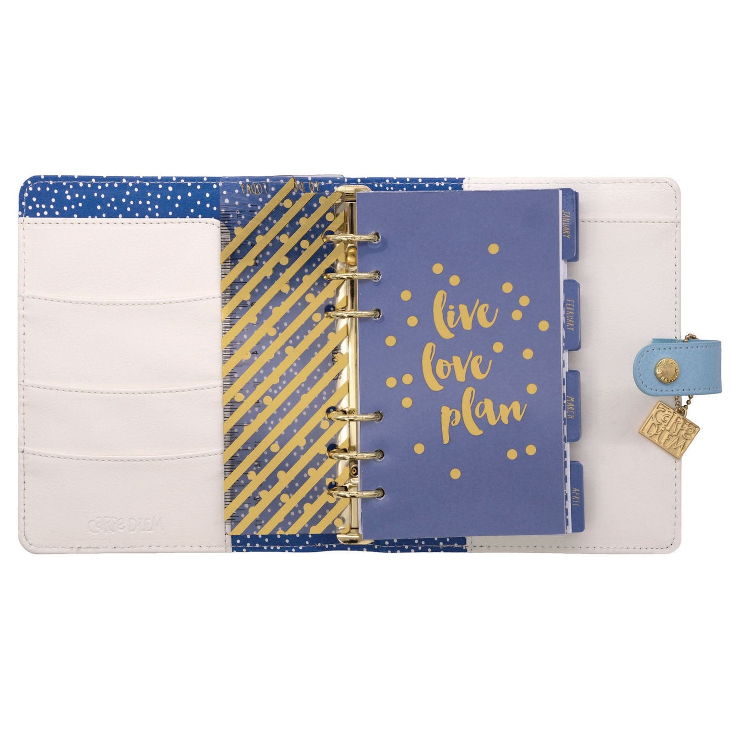 pukka-pad-personal-planner-feathers-7-48-x-6-42-blue-cream-pink-cover-12-month-undated-puk9210cd_5