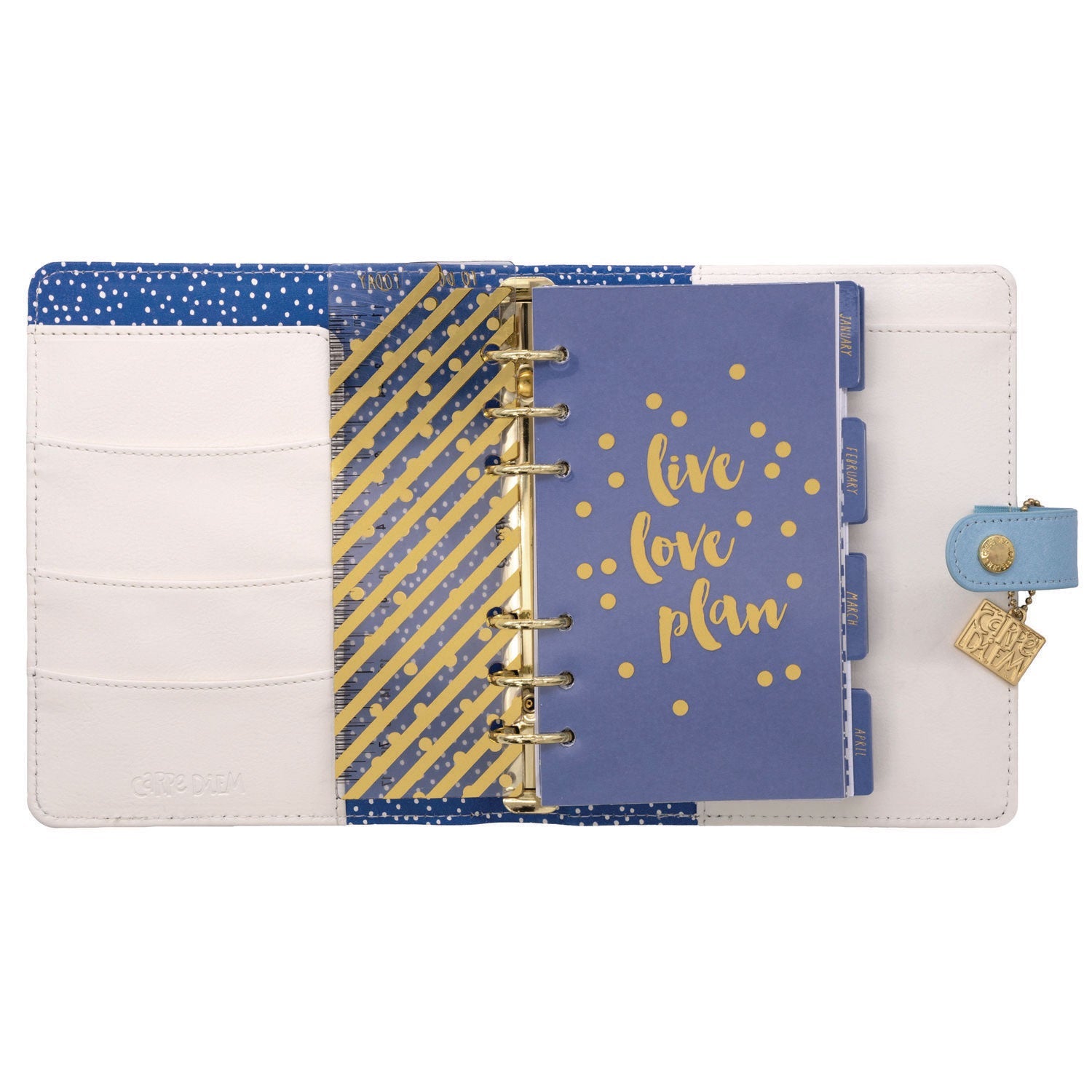 pukka-pad-personal-planner-feathers-7-48-x-6-42-blue-cream-pink-cover-12-month-undated-puk9210cd_5