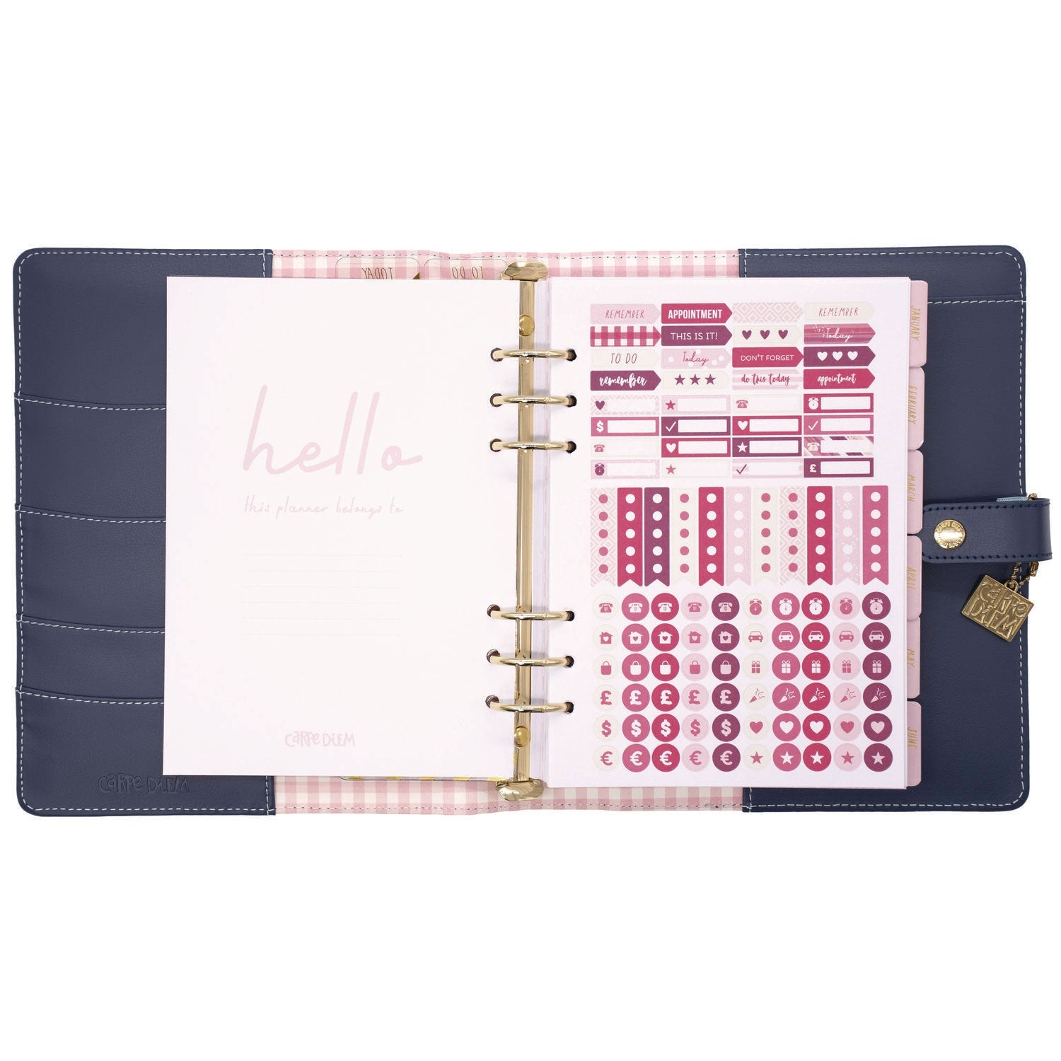 pukka-pad-a5-planner-feathers-10-24-x-9-25-blue-pink-white-yellow-cover-12-month-puk9198cd_5