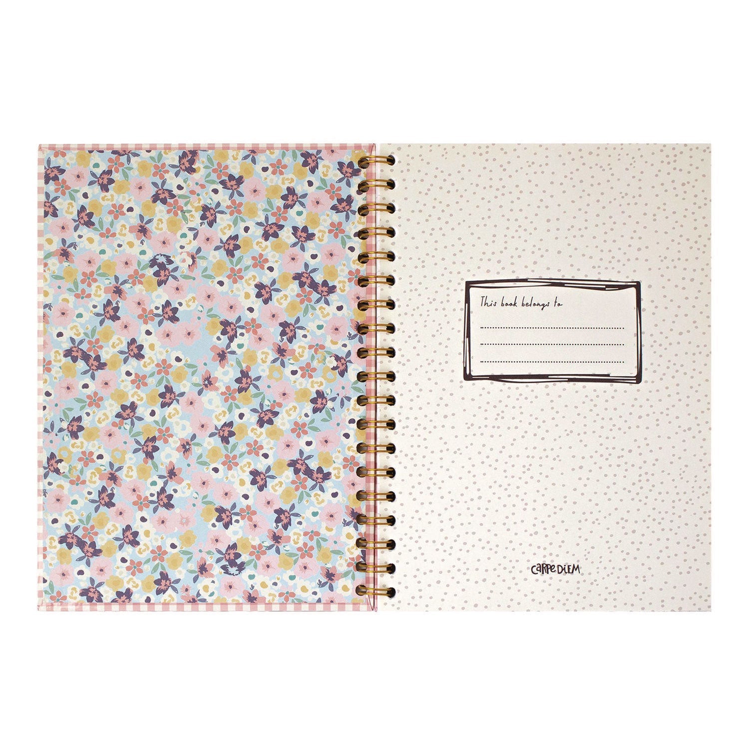 pukka-pad-b5-size-notebook-1-subject-medium-college-rule-pink-cover-80-6-9-x-4-9-sheets-3-pack-puk9377cd_4