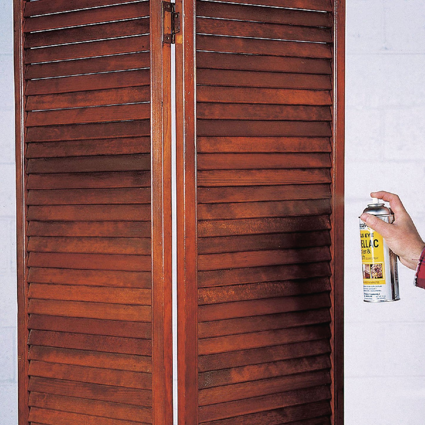 Zinsser® Clear Bulls Eye Shellac Spray, Gloss Clear, 12 oz Aerosol Can, 6/Carton (RST408)